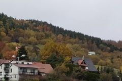 248177340_425280918986553_6663959946102131432_n