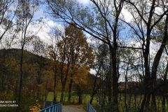 248184418_218150730416657_6581517108348333863_n