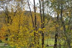 248308710_3233516543560944_5881014942042967732_n