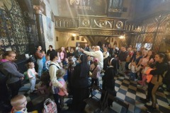 354616576_718652963396660_4435780898870892687_n