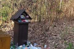 received_362599862565620-1