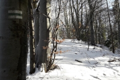 20181202_114444_wynik (2)