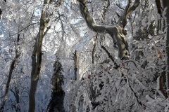 20181202_114522_wynik (2)