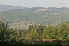 774c08c5-3f00-4afc-8936-9c836daa101c