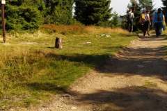 241259679_234925918566260_5956758114759589939_n