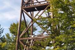 241696769_281354163504550_723017779518103008_n