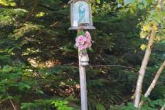 241701089_992095354964413_1145627342164444816_n