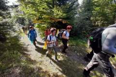 241702206_236273328442707_3358399877268297465_n