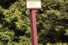 241723315_205276941593872_945901563633388214_n