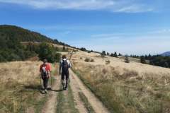 241732366_275444251074594_4686353219800404996_n