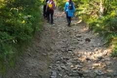 241736724_582688876089129_1641622931138085843_n