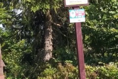 241738421_445648246738317_900182699143650052_n