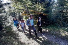 241742699_383770523358307_2867764338571870891_n