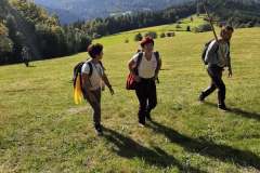 241743398_4599576560106416_3100847493982162797_n