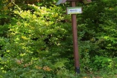 241758904_3150926308468448_5500113852251005836_n