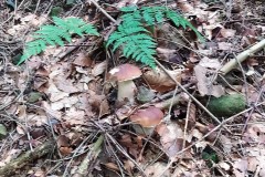 241794778_900825924145525_4658555268445196275_n