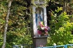 241807347_221863326580781_2210959030351665720_n