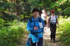 241848754_2950606888527411_2797747157218684402_n