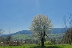 WhatsApp-Image-2019-04-20-at-13.47.51-2