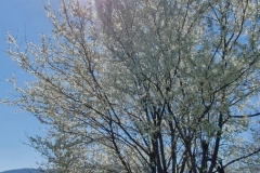 WhatsApp-Image-2019-04-20-at-13.47.52