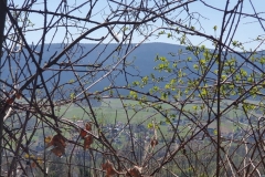 WhatsApp-Image-2019-04-20-at-13.47.53-1