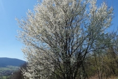 WhatsApp-Image-2019-04-20-at-13.47.53