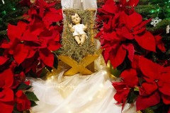 270033180_4886450628081754_4262881180437166975_n