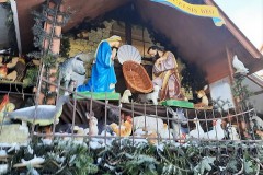 264400706_434828091474700_2425278050387190554_n