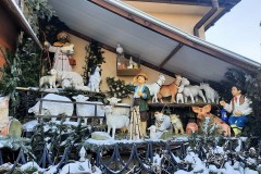 264871055_911954532642972_2081851343414726211_n