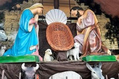 265003089_966222947312902_2587327820159620415_n