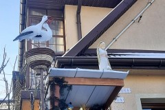 268049363_1474041542997284_4850446058216843846_n