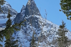 28810138_10212036961179536_710336347_o