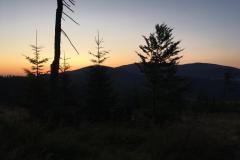 WhatsApp-Image-2019-08-18-at-21.42.46-2