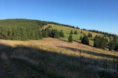 WhatsApp-Image-2019-08-18-at-21.42.46-4