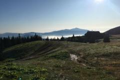 WhatsApp-Image-2019-08-18-at-21.42.46-5