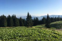 WhatsApp-Image-2019-08-18-at-21.42.46-6