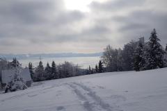 144398657_882227019300074_4159764097470168260_n