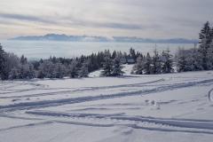 144807590_1702455809917719_7500228716246215823_n