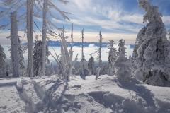 144827483_431286261424049_4744268958263387690_n