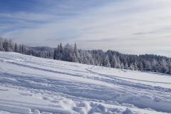 144989262_409973473403382_5493765059746086433_n