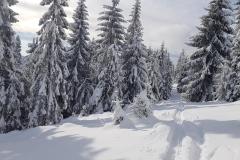 145024196_730223194553019_1108311762667309778_n