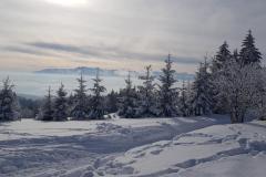 145198935_3770866663029531_1785124382382516974_n