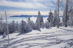 145481419_890839251662248_2706548444030469942_n