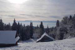 145631974_828134958044565_2439095363452557637_n