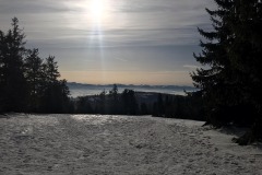 83042038_817805708688696_7259475773784850432_n