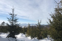 83061244_469707907030231_4190230983728955392_n