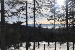 83072310_850107715434774_8265932571406237696_n