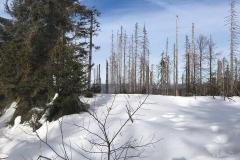 83402013_269693847402522_1236127369161342976_n