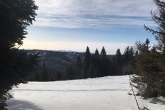 83507409_521299408508629_7530918969612435456_n