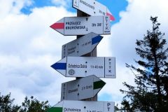 286218762_577083837537573_1317939257518078701_n